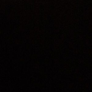 Meet your Posher, Lilly